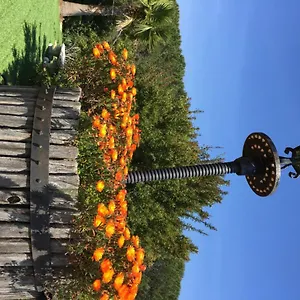 Domaine Du Mas De Peyres Appartement